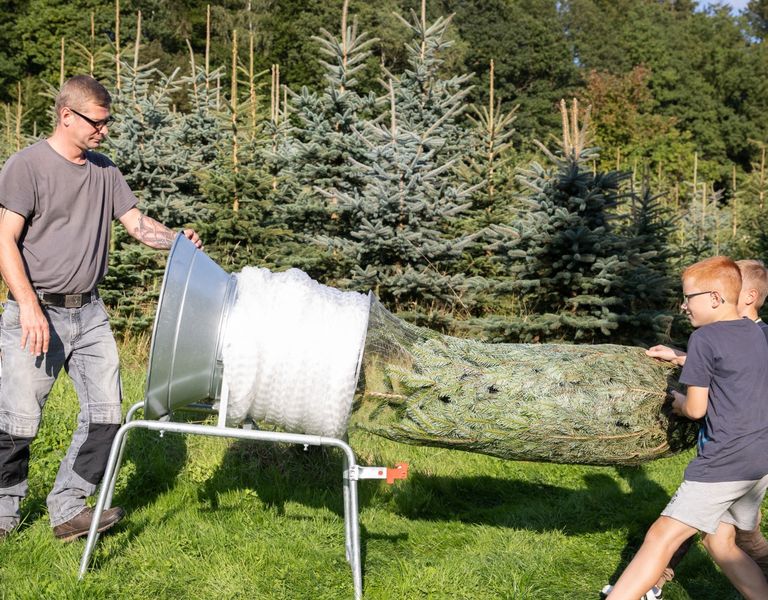 Weihnachtsbaum Verkauf Bodenfende - Amelith